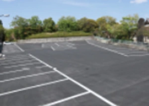 日泰寺 舎利殿 写真