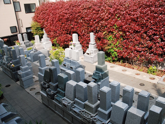 長嚴寺墓苑 写真
