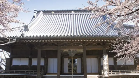 寛永寺 写真
