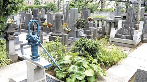 龍泉寺 写真