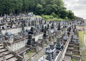 さくら市営箱森霊園(一般墓)