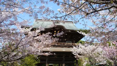 建長寺（臨済宗大本山） 写真