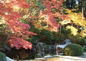 臥雲山即宗院 写真