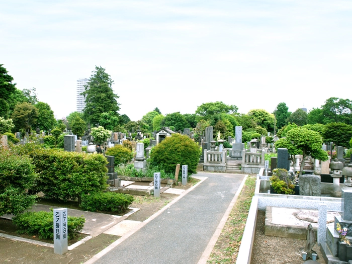 都立谷中霊園 写真