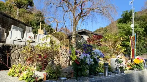 プレミアム愛川の里樹木葬墓地 写真