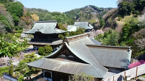 妙高院（建長寺塔頭） 写真