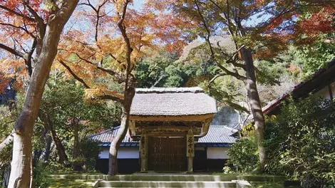 臨済宗大本山 円覚寺 写真