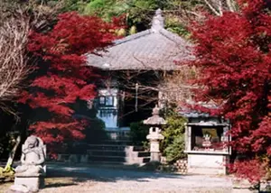 南泉院　永代供養墓地－涅槃の杜－ 写真