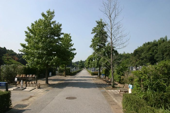 松戸市営白井聖地公園 写真