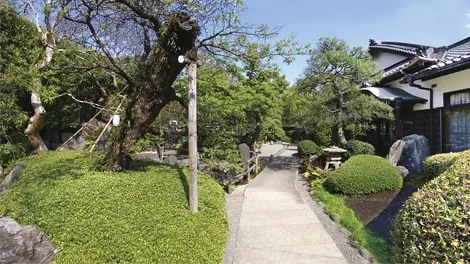 妙秀山 樹源寺 写真