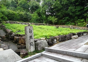 自然苑の名にふさわしい樹木葬墓地です。 写真