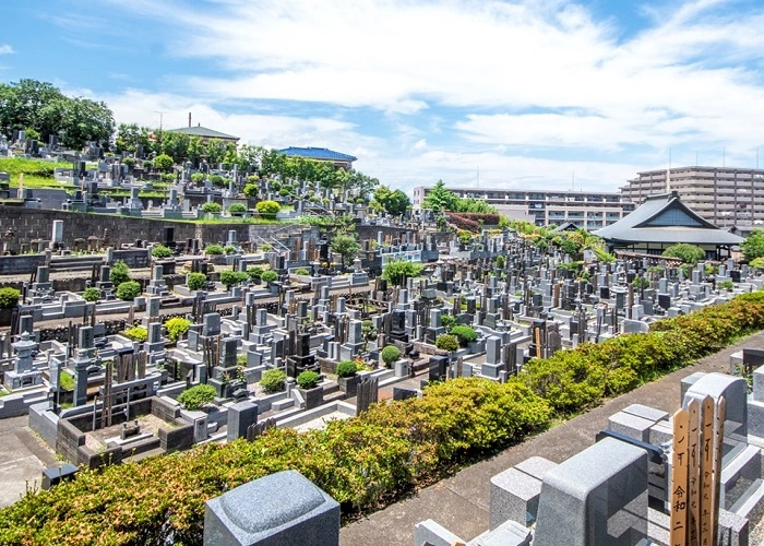 興福寺 写真