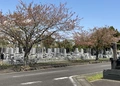 東海村公園墓地須和間霊園 写真