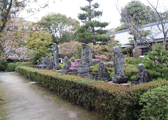 五智山 蓮華寺 写真