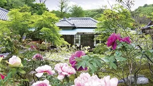 長寿寺（建長寺塔頭）(一般墓)