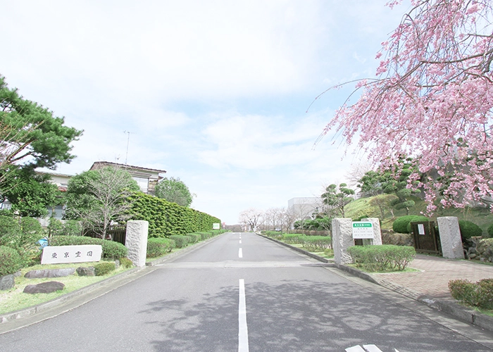 東京霊園 写真