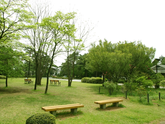 都立小平霊園 写真