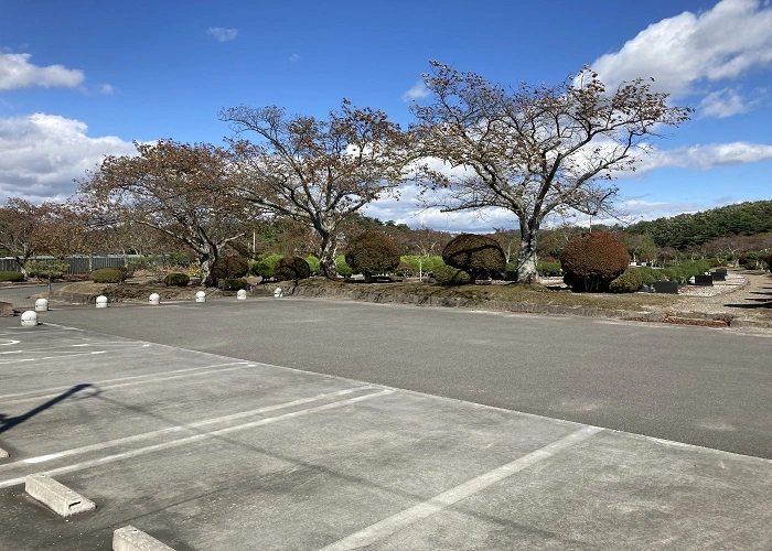 郡山市 東山霊園 写真