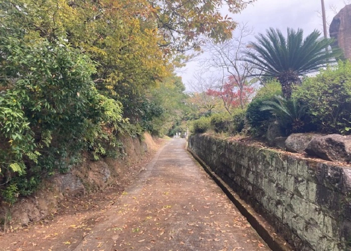 熊本市営 城山墓園 写真