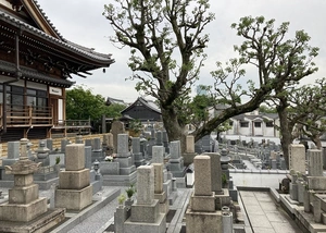 齢延寺(一般墓)