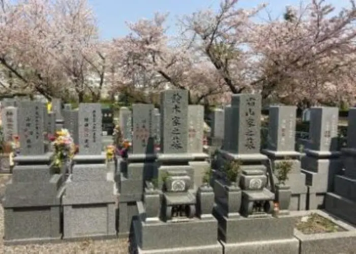 常慶寺 写真