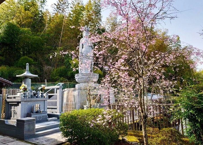 法雲寺霊園 写真