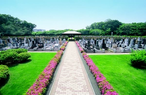 風の森聖地 写真