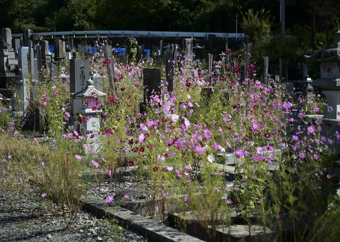 市川三郷町営 高田町墓地 写真