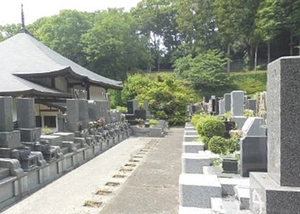 金鳳山 龍散禅寺(樹木葬)