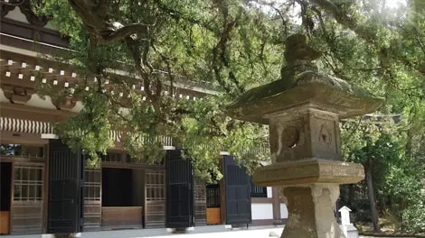 臨済宗大本山 円覚寺 写真