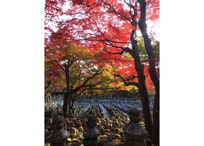 あだし野念仏寺 奥嵯峨霊園 写真