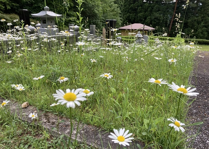 日光市営鬼怒川霊園 写真