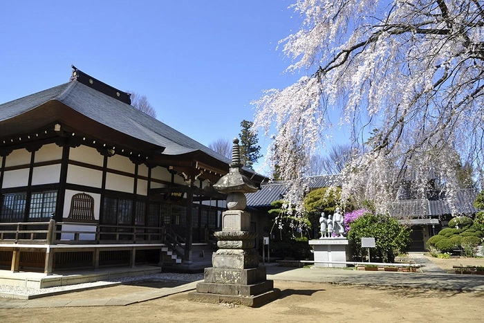 相頓寺墓苑 写真