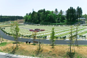 公営 印西霊園 写真