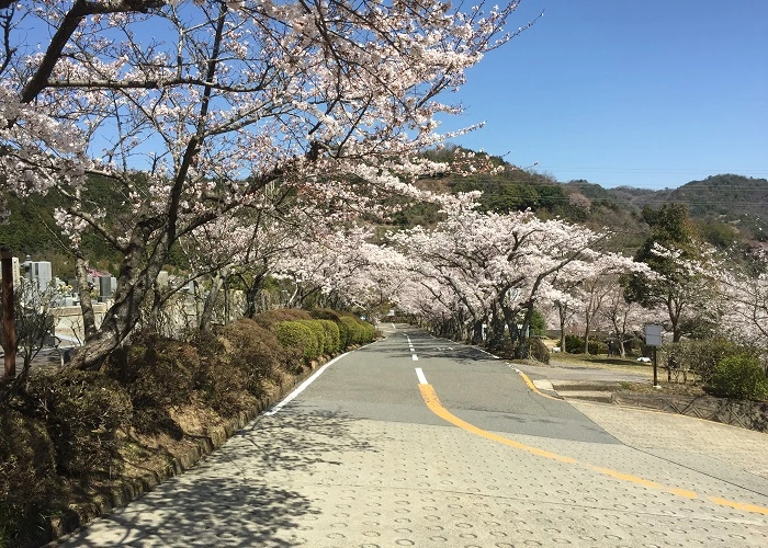 京都霊園 写真