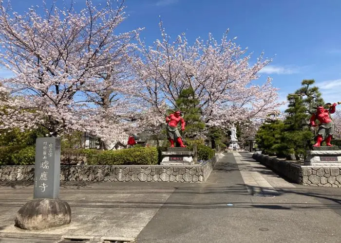 瑞応寺 写真