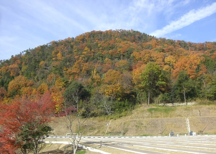 宝塚すみれ墓苑 写真