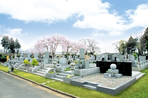 京葉霊園 写真