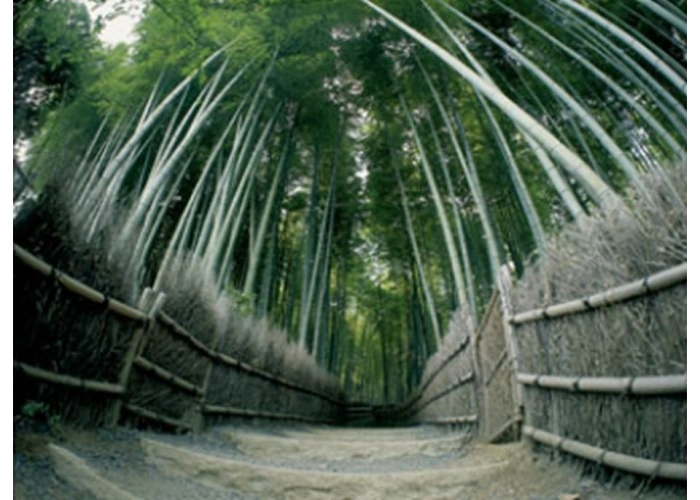 あだし野念仏寺 奥嵯峨霊園 写真