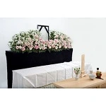 最小限の一日葬 写真