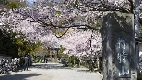 光則寺 写真
