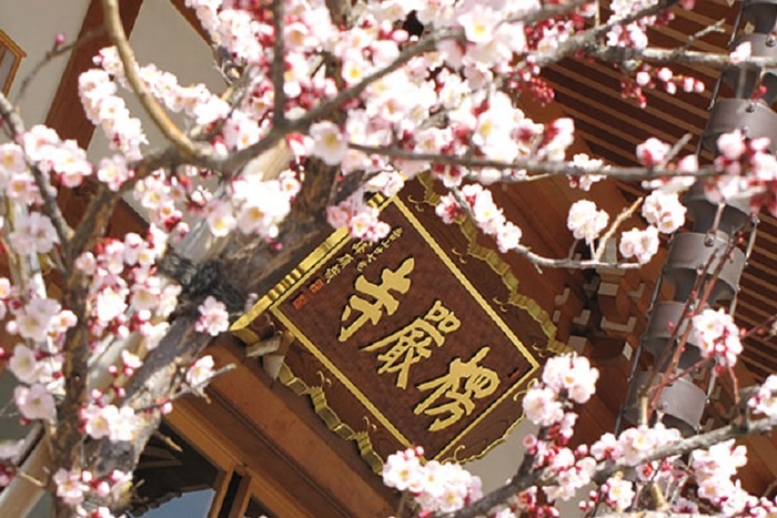 楞厳寺墓苑 写真