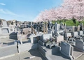熊谷深谷霊園 龍泉寺 写真