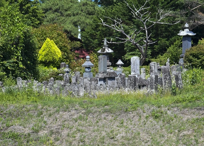 渋川市有墓地 写真