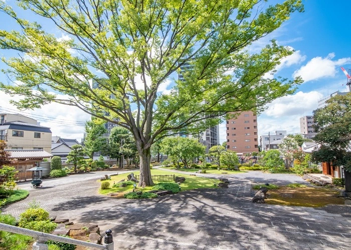 赤羽浄苑 正光寺 写真