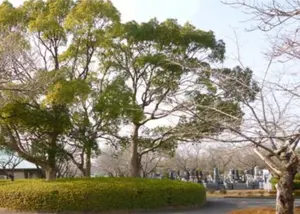 市原市営能満墓園 写真