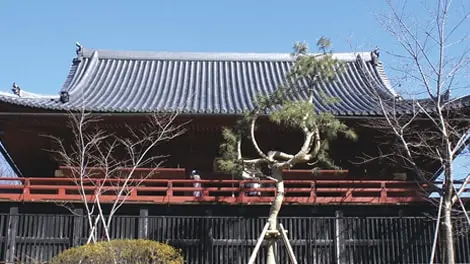 寛永寺 写真